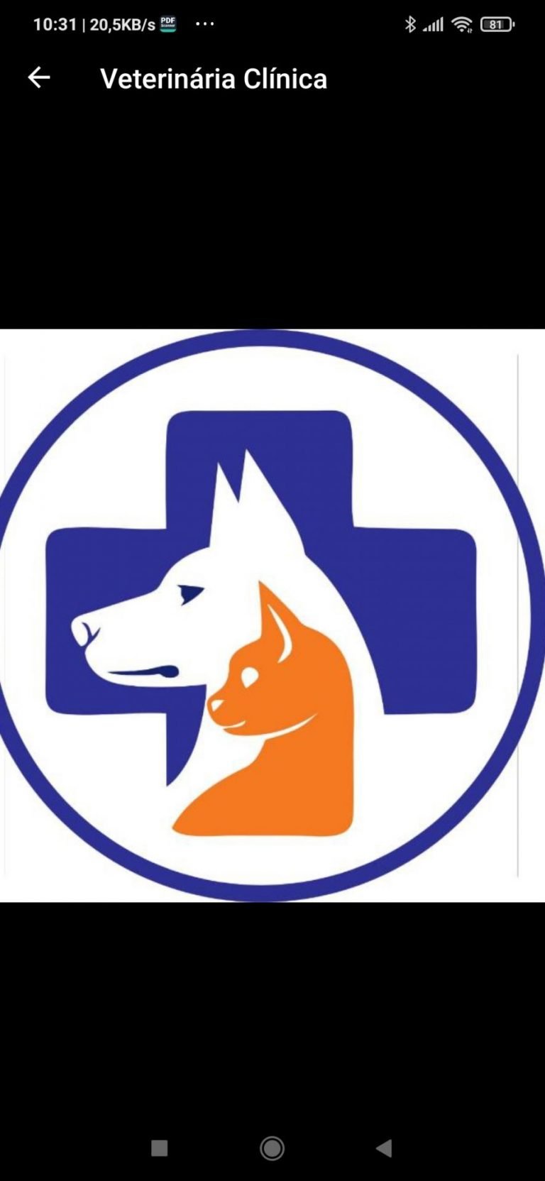 Clinica veterinária de AÇAILÂNDIA salva mais um cachorro em estado grave .
